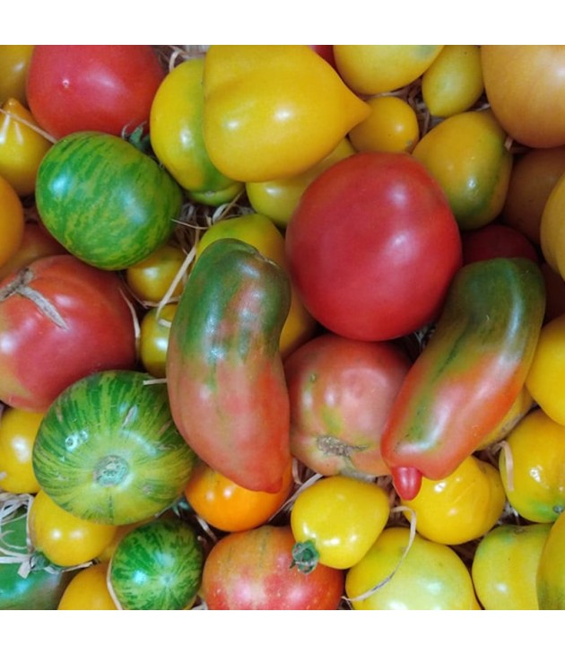 3kg Tomates anciennes bio