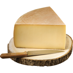 FROMAGE L'ESTIVAL (400G)