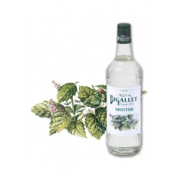 Sirop de menthes BIGALLET (1L)