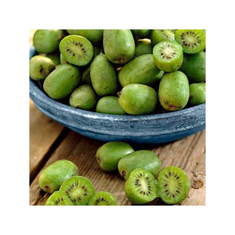 Kiwaï bio (0.200 kg) Kiwaï bio (0.200 kg)