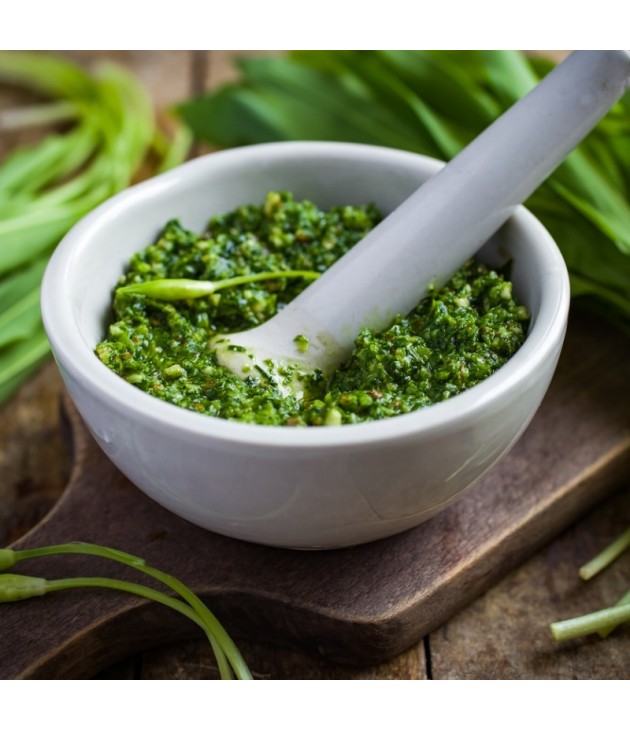 Pesto ail des ours bio (100G) Pesto ail des ours bio (100G)