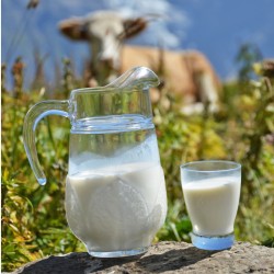 Lait de vache DEMI ÉCRÉMÉ bio UHT (1L)