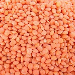 Lentille corail bio (250G)