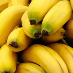 Banane bio (1kg)