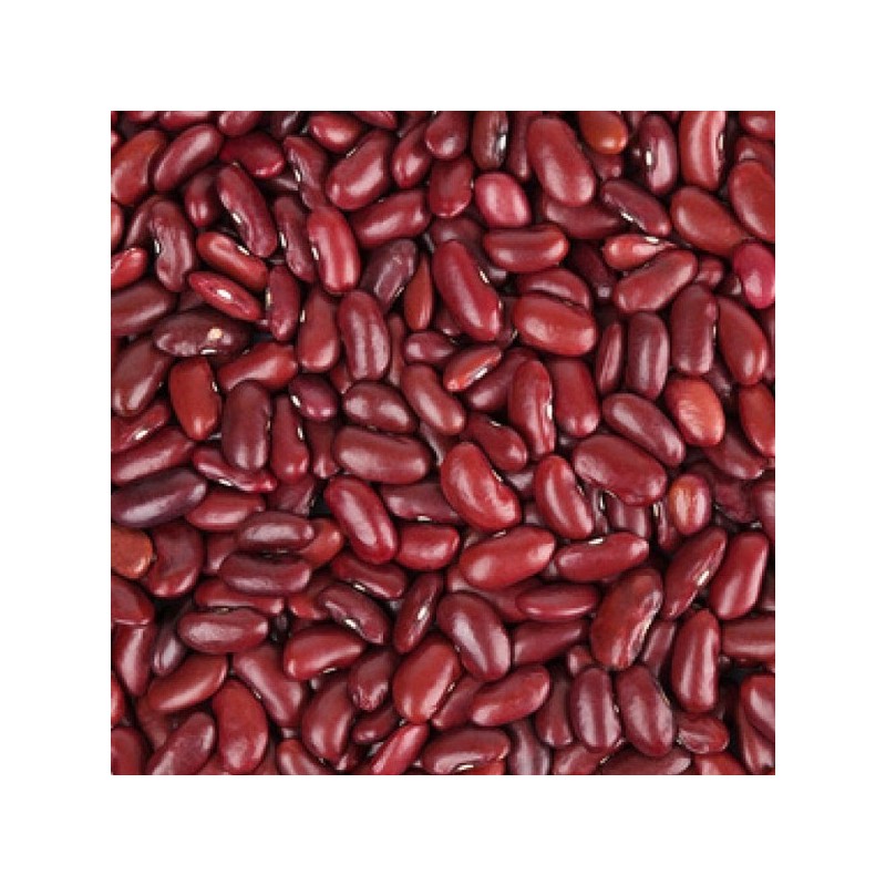 Haricot rouge bio (250G)