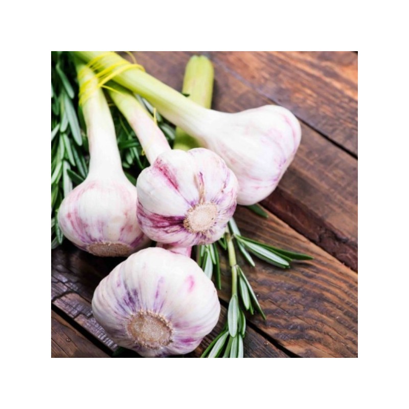 Ail frais bio (500g) Ail frais bio (500g)