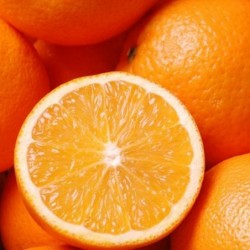 Orange bio  (1KG)