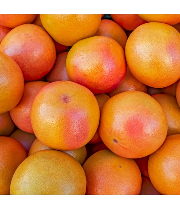 Pomelos rouge bio (1kg) Pomelos rouge bio (1kg)