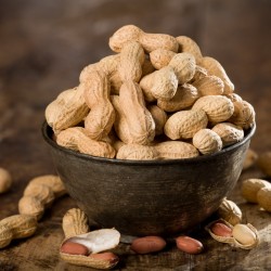 Cacahuètes en coque bio (150g)