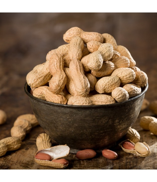 Cacahuètes en coque bio (150g)