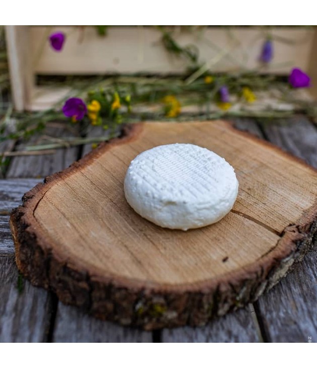 Fromages de chèvre frais BIO