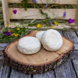 Fromages de chèvre affinés BIO