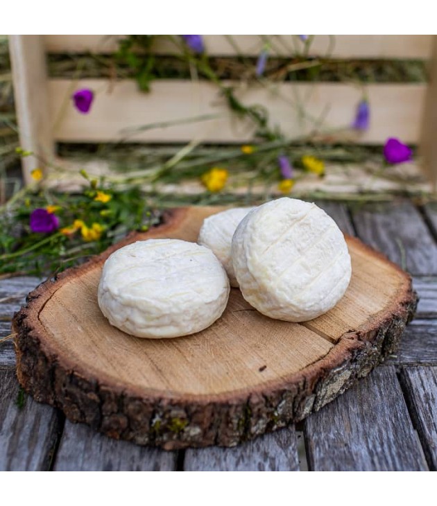 Fromages de chèvre affinés BIO