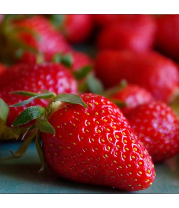 Fraise BIO (250G) Fraise BIO (250G)