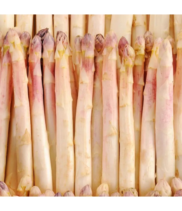 Asperges blanches BIO (500G) Asperges blanches BIO (500G)