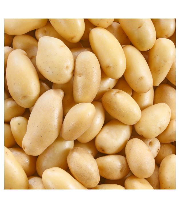 Pomme de terre Délicatesse GRENAILLE LOCAL (500G) Pomme de terre Délicatesse GRENAILLE LOCAL (500G)