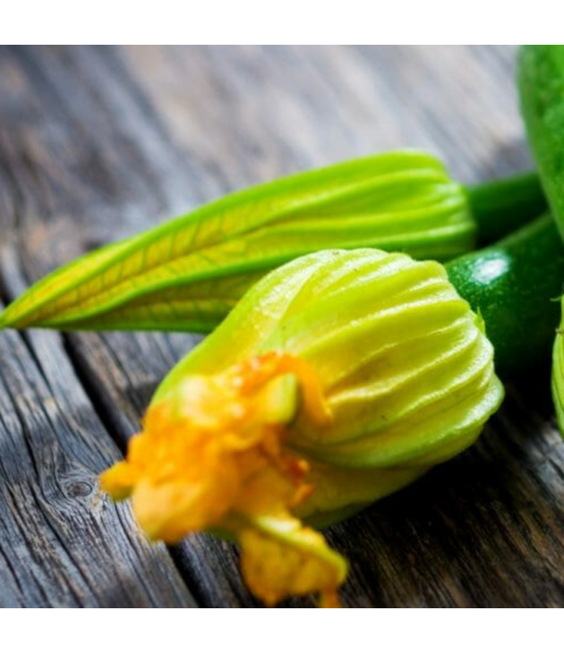 10 Fleurs de courgette BIO 10 Fleurs de courgette BIO