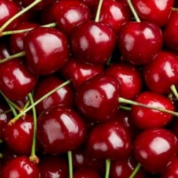 Cerise BIO (500G)
