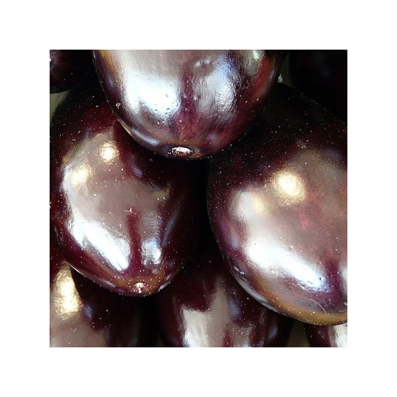 Aubergine BIO (1KG) Aubergine BIO (1KG)