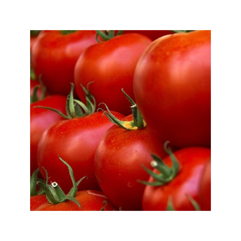 Tomates rondes BIO (500G) Tomates rondes BIO (500G)