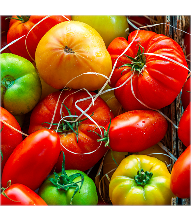 Tomates ANCIENNES BIO (500G) Tomates ANCIENNES BIO (500G)
