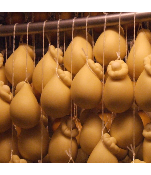 SCAMORZA AOP NON BIO (1PIÈCE) SCAMORZA AOP NON BIO (1PIÈCE)