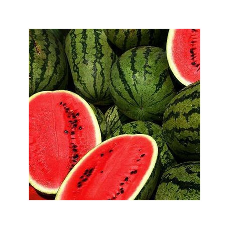 2KG Pastèque BIO 2KG Pastèque BIO