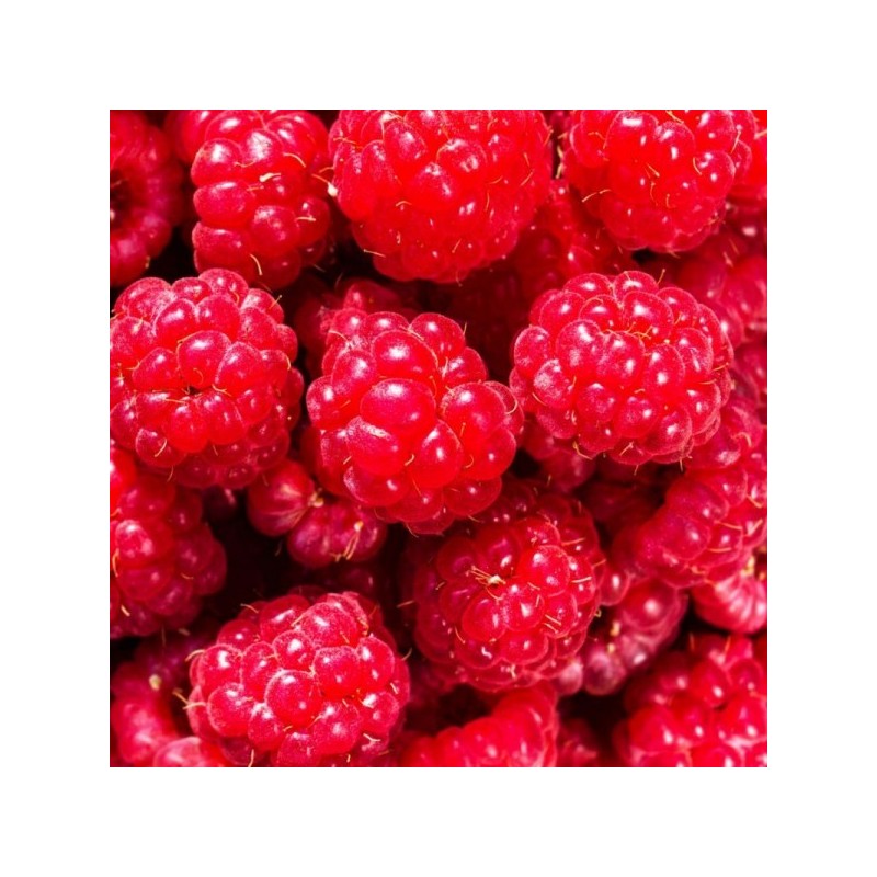 Framboise LOCAL (125G) Framboise LOCAL (125G)
