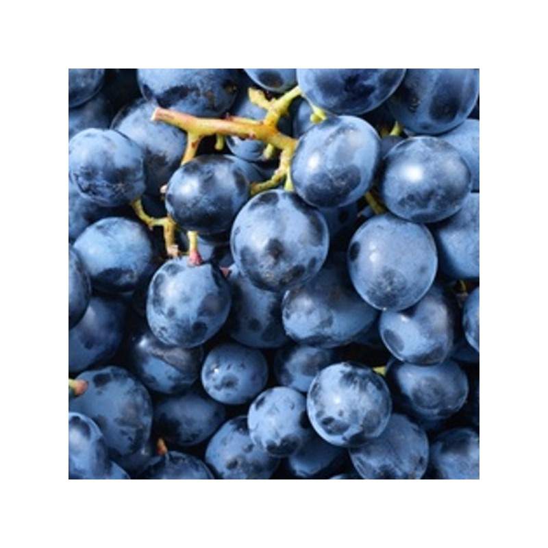 Raisins noir BLACK MAGIC BIO (500G) Raisins noir BLACK MAGIC BIO (500G)
