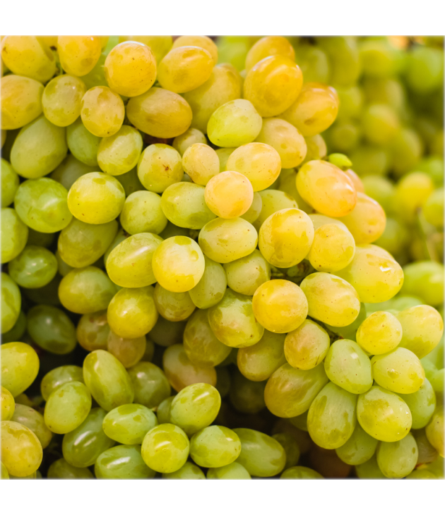 Raisin BLANC SANS PÉPINS BIO (500G) Raisin BLANC SANS PÉPINS BIO (500G)