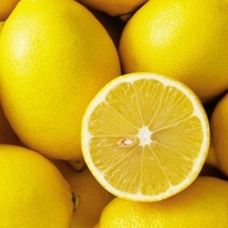 Citron bio (1kg)