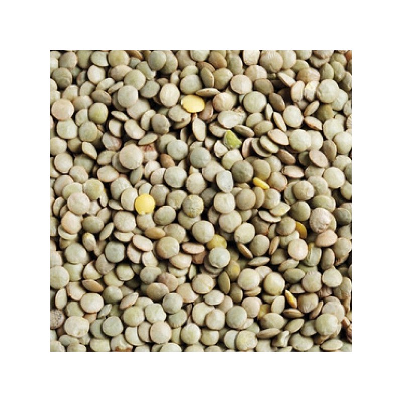 3kg Lentille bio 3kg Lentille bio