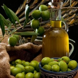 Huile d'olive bio (1L)