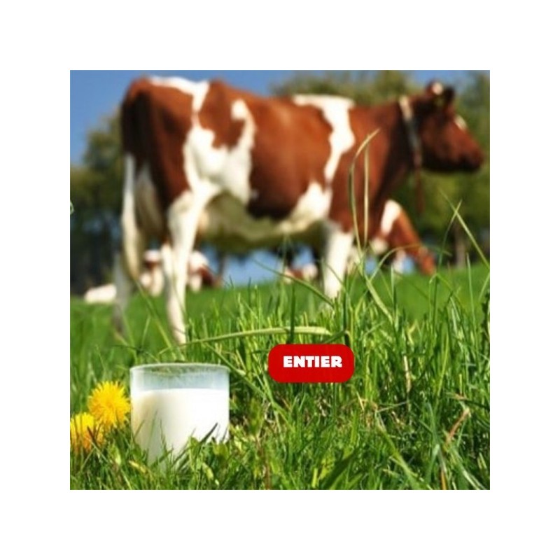 6L lait de vache ENTIER bio UHT
