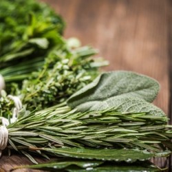 Bouquet garni frais