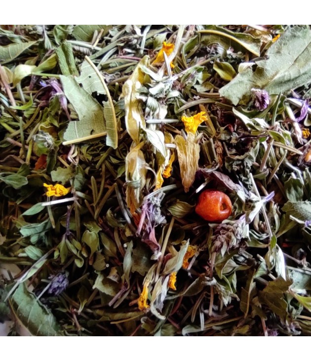 Tisane bio SAUVAGE DU VERCORS (35G) Tisane bio SAUVAGE DU VERCORS (35G)
