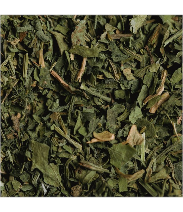 Tisane bio MENTHE DOUCE (40G)