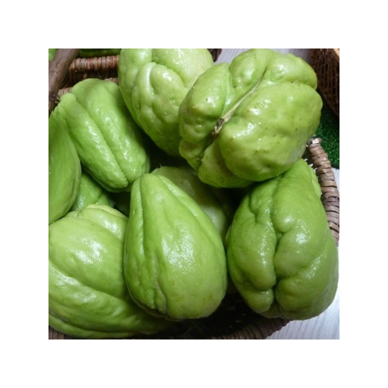 Christophine bio (500 g) Christophine bio (500 g)