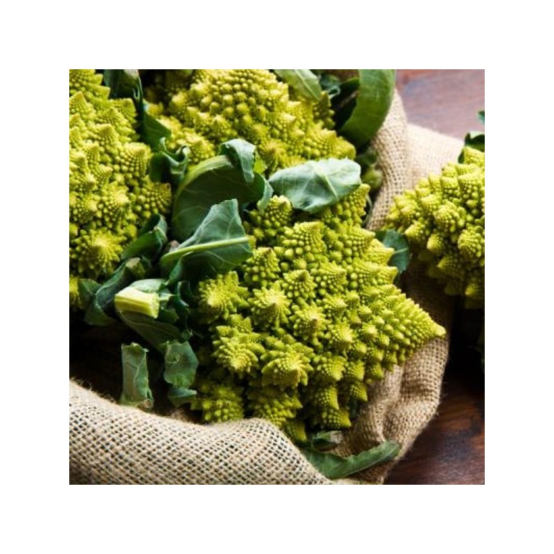 Chou romanesco bio (1pièce) Chou romanesco bio (1pièce)