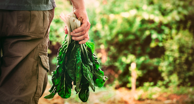 NOS PRODUCTEURS ET FOURNISSEURS - DESCLICS PAYSAN, BIO LOCAL ET SOLIDAIRE