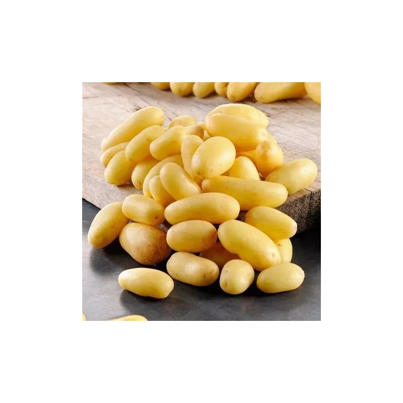 POMME DE TERRE NOUVELLE DÉLICATESSE LOCAL - DESCLICS PAYSAN, LE GOÛT DU BIO SOLIDAIRE PRÈS DE CHEZ VOUS