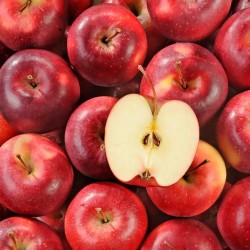 POMME STORY BIO - DESCLICS PAYSAN, LE GOÛT DU BIO SOLIDAIRE PRÈS DE CHEZ VOUS