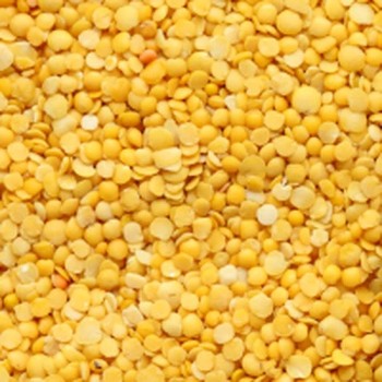 LENTILLE JAUNE DAHL BIO - DESCLICS PAYSAN, LE GOÛT DU BIO SOLIDAIRE PRÈS DE CHEZ VOUS