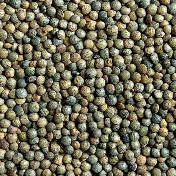 2KG LENTILLE VERTE BIO - DESCLICS PAYSAN, LE GOÛT DU BIO SOLIDAIRE PRÈS DE CHEZ VOUS