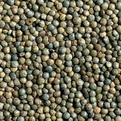 2KG LENTILLE VERTE BIO - DESCLICS PAYSAN, LE GOÛT DU BIO SOLIDAIRE PRÈS DE CHEZ VOUS