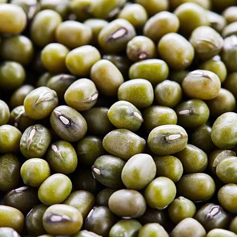HARICOT MUNGO BIO - DESCLICS PAYSAN, LE GOÛT DU BIO SOLIDAIRE PRÈS DE CHEZ VOUS