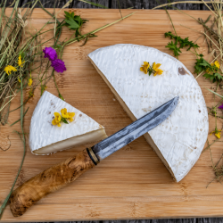 CHAMOISÉ DE CHÈVRE BIO  - DESCLICS PAYSAN, LE GOÛT DU BIO SOLIDAIRE PRÈS DE CHEZ VOUS