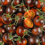 TOMATES CERISES PRUNES LOCAL  - DESCLICS PAYSAN, LE GOÛT DU BIO SOLIDAIRE PRÈS DE CHEZ VOUS