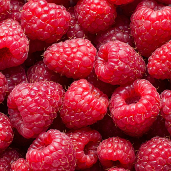 FRAMBOISE LOCAL - DESCLICS PAYSAN, LE GOÛT DU BIO SOLIDAIRE PRÈS DE CHEZ VOUS