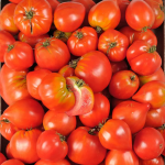 2KG TOMATES COEUR DE BOEUF LOCAL - DESCLICS PAYSAN, LE GOÛT DU BIO SOLIDAIRE PRÈS DE CHEZ VOUS